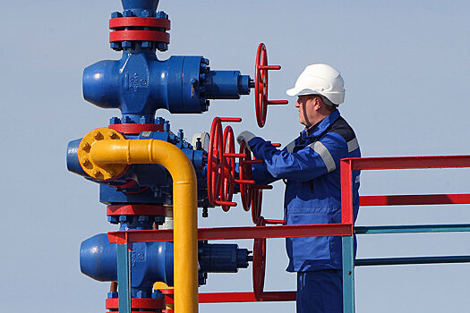 "Мы пойдем к катастрофе": В Европе оценили последствия отказа от российского газа