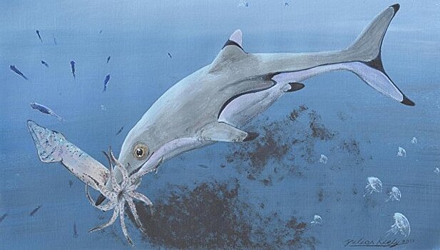 Ученые определили облик "китов мезозоя"