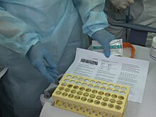Новые случаи COVID-19 в Калининградской области: статистика и подробности