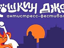 Антистресс-фестиваль "Кошкин Джаз" стартует в Пензе, Самаре и Ульяновске