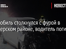 Автомобиль столкнулся с фурой в Приозерском районе, водитель погиб