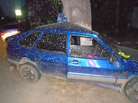 Женщина травмировалась после ДТП с деревом