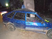 Женщина травмировалась после ДТП с деревом