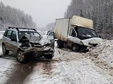 В Пермском крае в ДТП столкнулись «Газель» и «Нива»