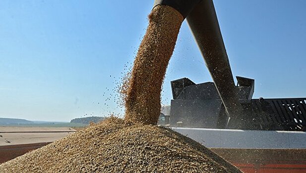 Россия может экспортировать часть госзапасов зерна