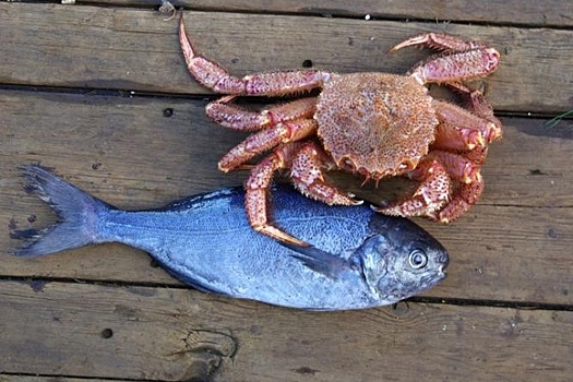 Учредители поменялись у двух крупных российских рыбопромышленных компаний