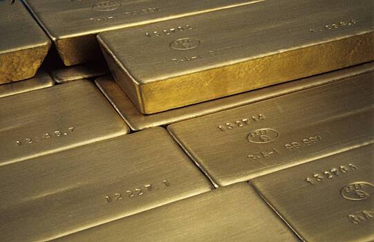 Иностранец попытался вывезти из России золото на миллионы рублей