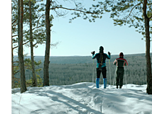 Деревянко против Борисова: сибирский триллер "Подельники"