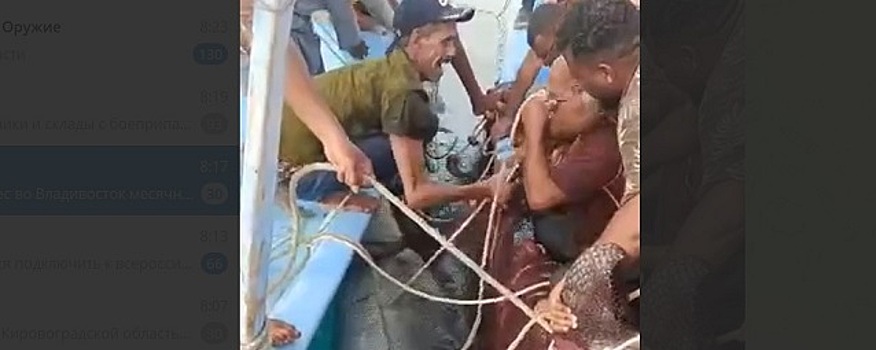 Минприроды Египта: поймана тигровая акула, напавшая на россиянина в Хургаде