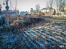 Ростовчане предложили построить театр кукол на месте кинотеатра «Россия»