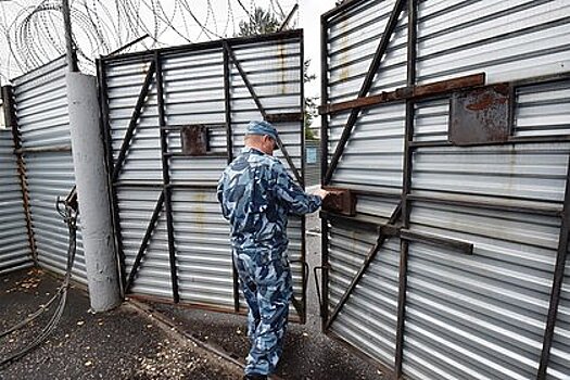 Двое подельников получили сроки за похищение россиянина из-за миллионного долга