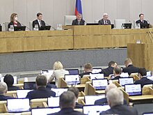 ГД осенью может рассмотреть проекты о декриминализации экономических преступлений
