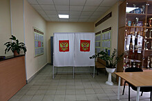 На выборах в Приморье столкнутся оппозиция и бизнес: кто захватит «поляну» Пушкарева