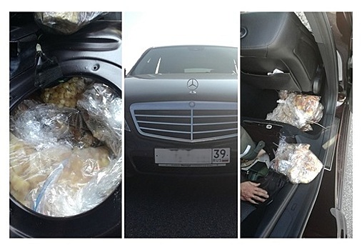 В Клайпеде таможенники задержали калининградца с 34,8 кг янтаря