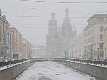 В Петербурге объявлено штормовое предупреждение из-за сильного ветра