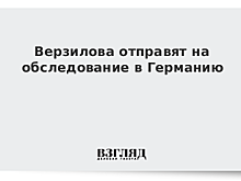 Алехина опровергла информацию об ухудшении состояния Верзилова