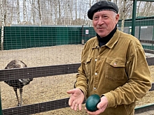 На парк птиц в Курской области потратят 3,5 млн. рублей