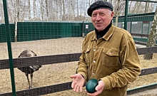 На парк птиц в Курской области потратят 3,5 млн. рублей