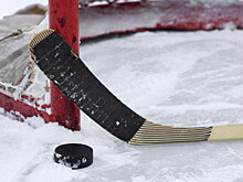 День хоккея могут учредить в Подмосковье