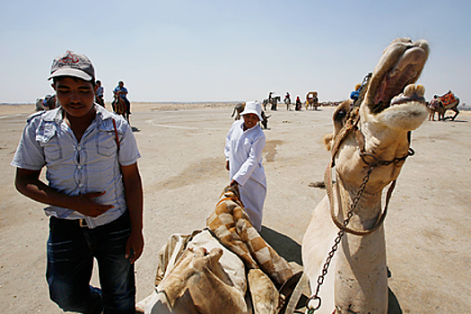 Чудаки, пирамиды и сплошной обман. Чего ждать от Египта российскому туристу?
