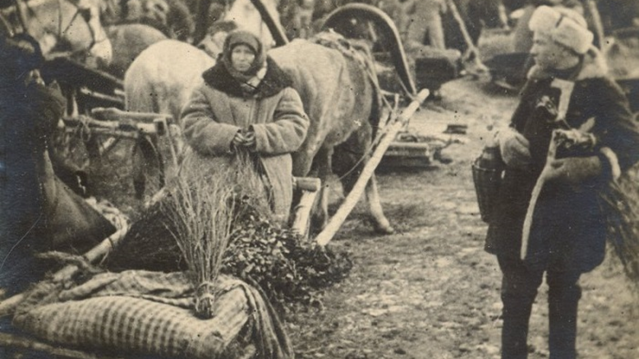 Как баня помогает бороться с целлюлитом