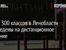 Почти 300 классов в Ленобласти переведены на дистанционное обучение