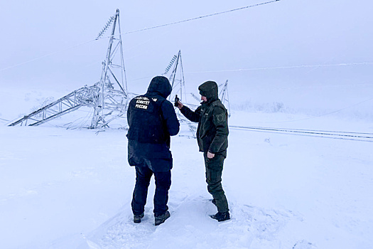 Блэкаут в Мурманской области. Как энергетики восстанавливают электроснабжение после непогоды?