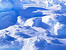 Полярник прокомментировал популярность Антарктиды у туристов