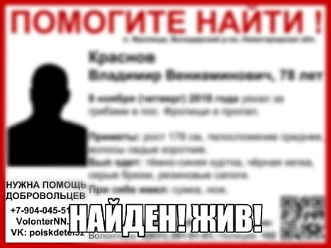 Пропавший 78-летний Владимир Краснов найден