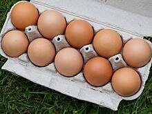 Северные хозяйства Томской области делают ставку на развитие птицеводства