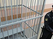 Приставы были в шоке от проекта отмены клеток в судах, заявили в УФССП