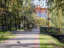 Балконы для отдыха установили на берегу Параши в Нижнем Новгороде