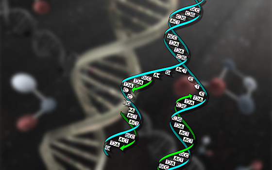 Биологи обнаружили тысячи затронутых параллельной эволюцией генов
