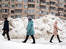 «Кучи надоели просто»