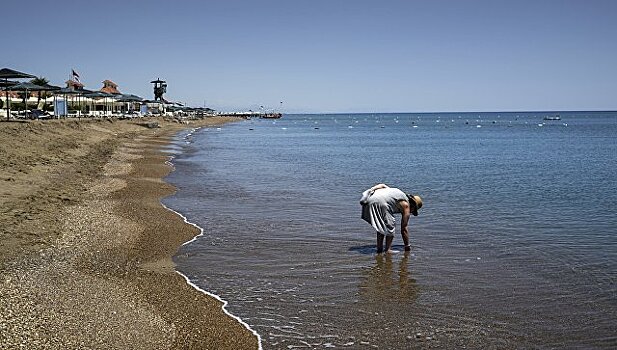 На пляже в Таллине обнаружены ядовитые водоросли, СМИ