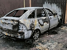 В Волгоградской области задержали подозреваемого в поджоге «Лады»