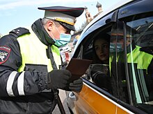 Злостные нарушители самоизоляции в Подмосковье будут работать в больницах