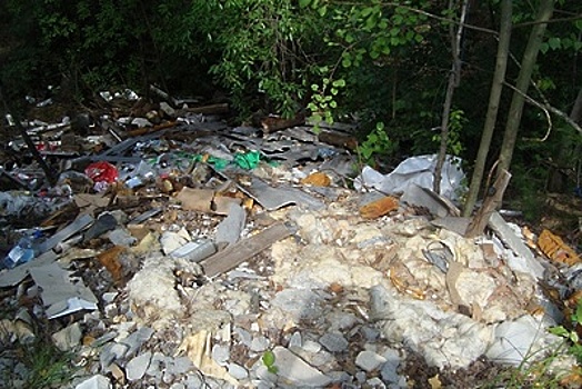 В Подмосковье за прошлую неделю обнаружили 588 скоплений мусора