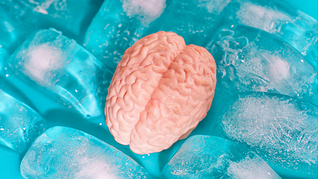 Может ли заморозка мозга даровать бессмертие