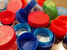 Сбор вторсырья проходит в университетах и колледжах Вологды 