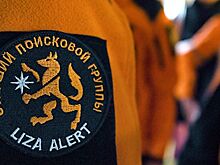 Под Екатеринбургом пропал десятилетний мальчик