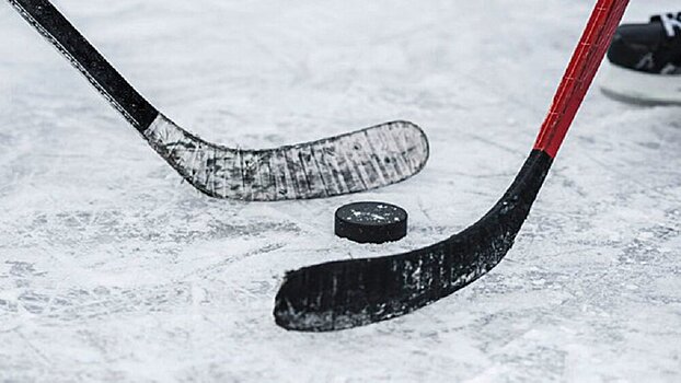Во Владикавказе открылся ледовый комплекс, Фетисов присутствовал на открытии. Среди целей проекта – представительство местных хоккеистов 5-7 лет в клубах КХЛ
