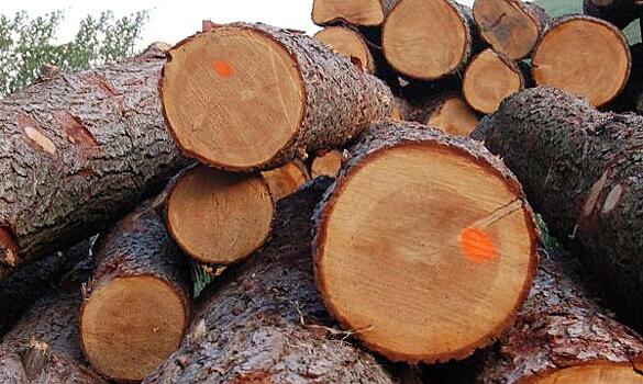 Рослесинфорг: экспортеров лесных грузов поддерживают выросшие на внешних рынках цены