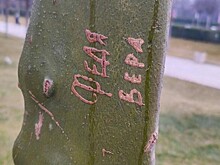 Влюбленные парочки портят редкие лавочки в парке «Краснодар»