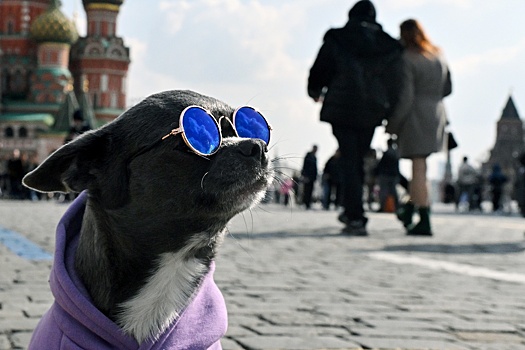 Вильфанд: Весна 2026 года может быть ранней