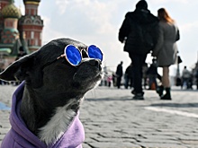 Вильфанд: Весна 2026 года может быть ранней