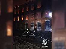 МЧС РФ: на острове Русский загорелось неэксплуатируемое здание