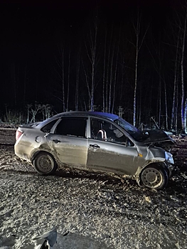 В лобовом столкновении машин в Удмуртии пострадали четверо детей