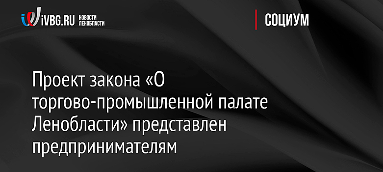 Проект закона «О торгово-промышленной палате Ленобласти» представлен предпринимателям
