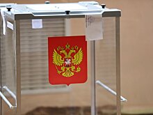 Официально: на выборах в Подмосковье нарушений не выявлено